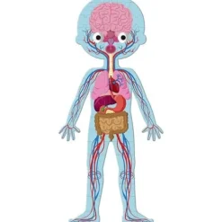 Janod Puzzles Enfants De 50 À 249 Pièces|4 Puzzles Éducatifs - Le Corps Humain