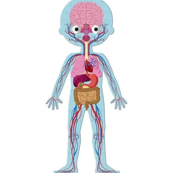 Janod Puzzles Enfants De 50 À 249 Pièces|4 Puzzles Éducatifs - Le Corps Humain