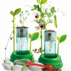 Clementoni Découverte De La Nature|Botanique Et Hydroponie