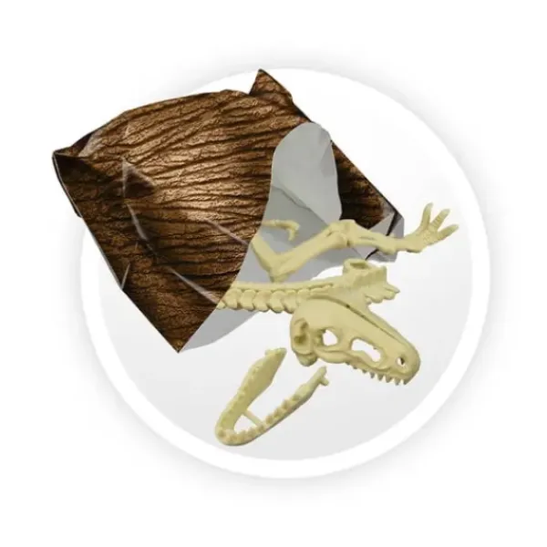 Buki Jeux Scientifiques|Dino Surprise Box