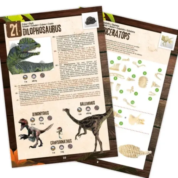 Buki Jeux Scientifiques|Dino Surprise Box