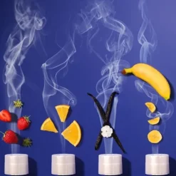 Sentosphere Premiers Apprentissages|Le Loto Des Odeurs