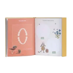 Moulin Roty Livre De Naissance - Les Trois Petits Lapins- Coffret Cadeaux, Naissance