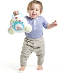 Tiny Love Mobile Musical Soothe N Groove Dans La Prairie- Mobiles