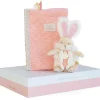Doudou Et Compagnie Protege Carnet De Sante Et Doudou Sucre Rose- Coffret Cadeaux, Naissance