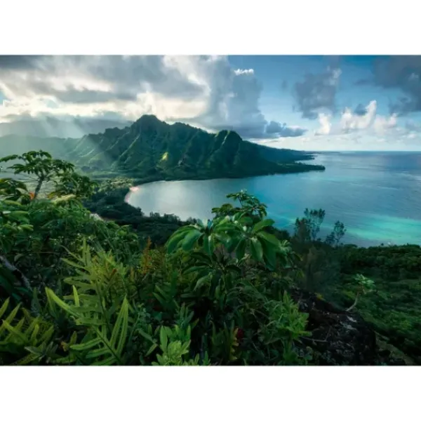 Ravensburger Autres Puzzles|Puzzle 5000 Pieces - Vue Sur Hawai